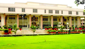 Delhi HC directs DDA to clear pending property conversions