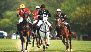 Delhi HC stays eviction of Race Club, Polo ground; directs Centre to follow due process