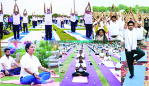 Delhi practices yoga together on International Yoga Day