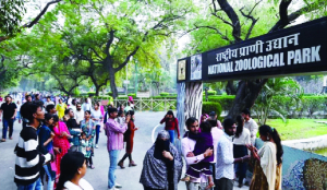 Delhi zoo hosts first-ever tree walk
