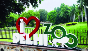 Delhi zoo invites citizens for weekly bird-monitoring, biodiversity drives