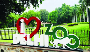 Delhi Zoo seeks mate for Jatayu after two decades
