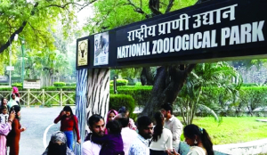 Delhi zoo to add 109 new wildlife species
