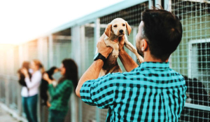 Delhi Zoo to offer one-day animal adoption from March