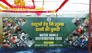Dog Home Foundation deploys water safety net for animals