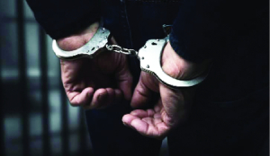 DRI nets 740 kg cannabis in eight pan-India raids, 13 held