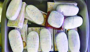 DRI seizes over 24 kg of narcotic drugs in Kerala