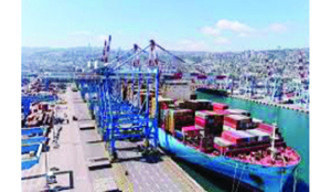 DRI seizes Pak-origin dry dates worth Rs 3cr at Kandla Port