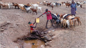 Drought leaves people hungry in Kenya