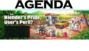 E20 Blender's Pride, User's Peril?