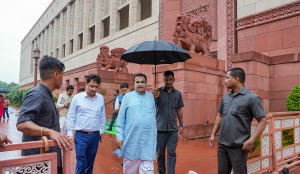 E20 petrol can reduce fuel economy by 2-6 pc: Nitin Gadkari
