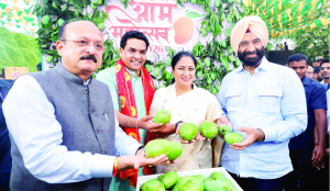 Eat till you drop: Delhi’s mango festival is back