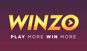 ED chargesheets online gaming app WinZO, alleges players duped of Rs 734 cr
