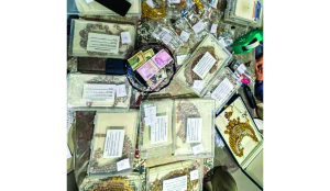 ED seizes Rs 5.12 crore in cash, jewellery worth Rs 8.80 crore