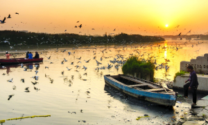 Ending a 30-year-old dispute, Haryana, Rajasthan seal Yamuna pact