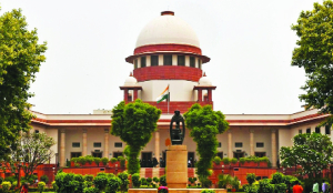 Ensure encroachment-free walking space on all roads: SC