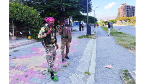 Ethiopian commander reports drone strikes in Tigray