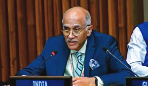 Expanding permanent category with veto critical to real reform of UNSC: India