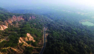 Experts flag concerns over SC-appointed Aravalli panel