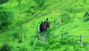 Experts propose 'carbon bank' to monetise Maharashtra's ecological wealth