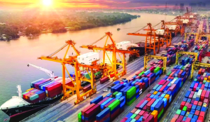 Exports growth in double digit in April-May: Official