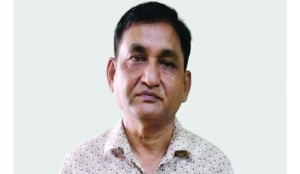 Fake property wills syndicate under scanner in National Capital Region