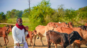 Farmers turning climate adaptation into opportunity