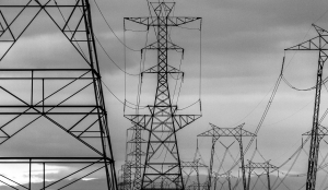 Father, 17-year-old son electrocuted to death while removing tree branch in UP's Sitapur