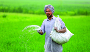Fertiliser ministry maps green urea roadmap