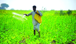 Fertiliser output steady despite West Asia crisis, says Government