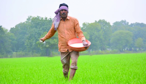 Fertiliser subsidy estimate to be reassessed with fall in urea import prices: Government