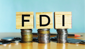 Finance Ministry notifies 100% FDI in insurance sector, amends FEMA Rules