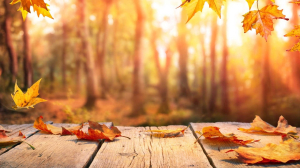 Finding meaning in the stillness of age