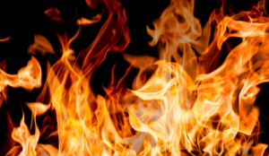 Firefighter Among Two Killed in Massive Thane Vegetable Market Fire; Rs 10 Lakh Ex-Gratia Announced