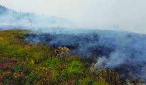 Firefighters battle massive Belgian wildfire, forcing hundreds to evacuate