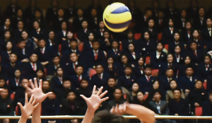 FIVB takes charge of VFI with steering committee