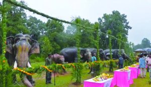 Five-day elephant rejuvenation camp begins in Bandhavgarh Tiger Reserve