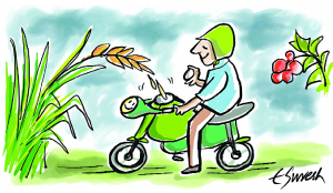 Flex-fuel: The future of India’s ethanol push