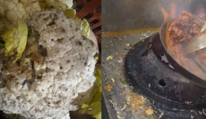 Food safety raids in Cyberabad uncover cockroach infestations, stale food and hygiene violations