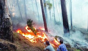 Forest fire breaks out in Rajouri, vast forest area damaged