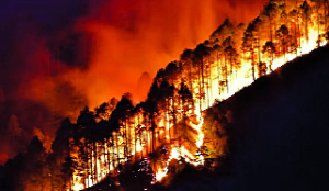 Forest fires in India: A growing ecological and governance challenge