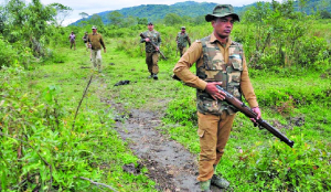 Forest martyrs: The silent war to protect India’s wilds