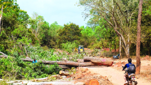 Forest Right Act: From historical justice to ecological suicide