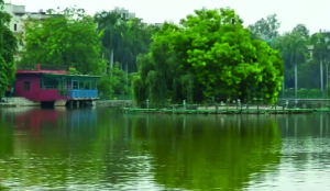 Fresh start for Naini Lake as MCD floats Rs 10 crore rejuvenation tender