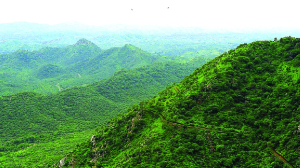 From fragmentation to functional integrity: Reclaiming the Aravallis