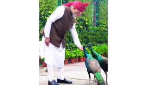From Lok Kalyan Marg to Red Fort, PM Modi’s morning with animals