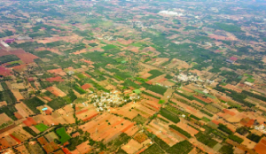 From survey to consolidation: Bihar’s next land reform