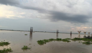 Ganga river breaches embankment in Bihar's Bhagalpur, sparks panic