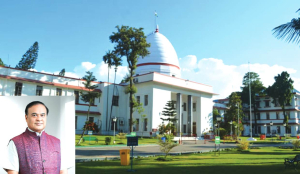 Gauhati High Court issues notice to Assam CM in PILs alleging hate speech