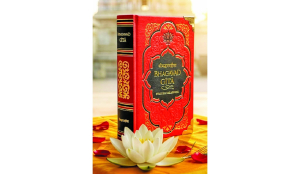 Gita as Casteist and Misogynist? Strawmanning at Its Worst